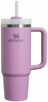 Stanley Quencher H2.0